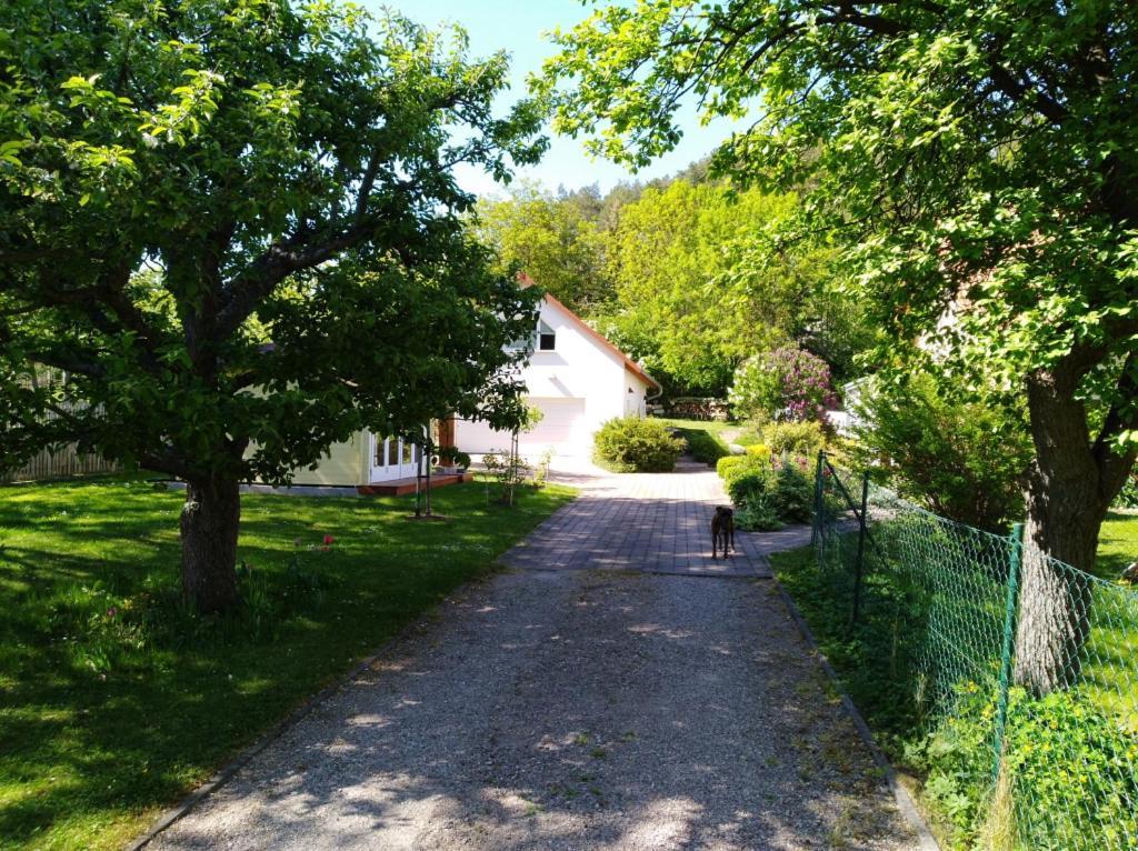 Ferienhaus Kaiser Branchewinda Екстериор снимка
